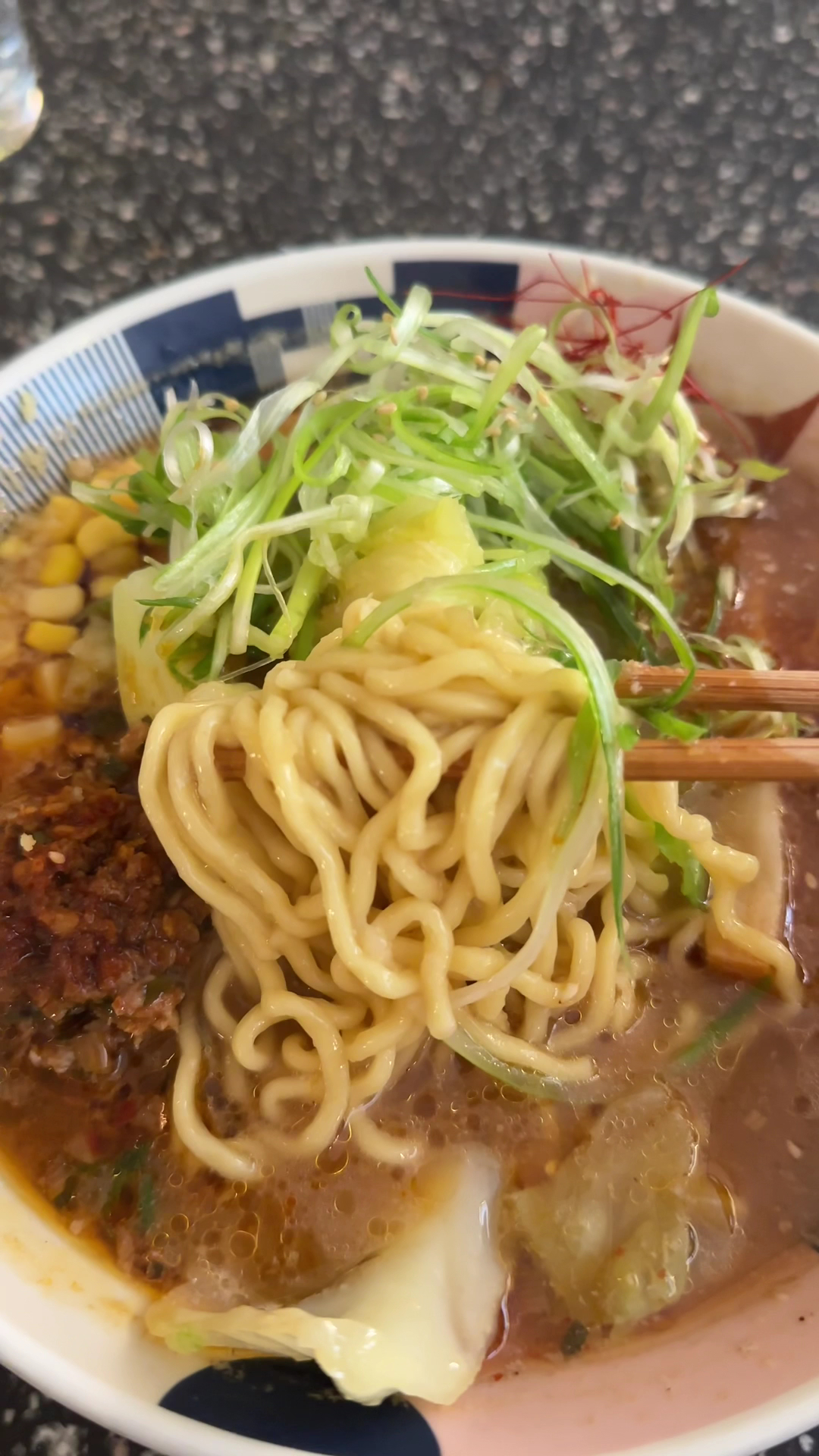 Tonchin, New York: photo 15